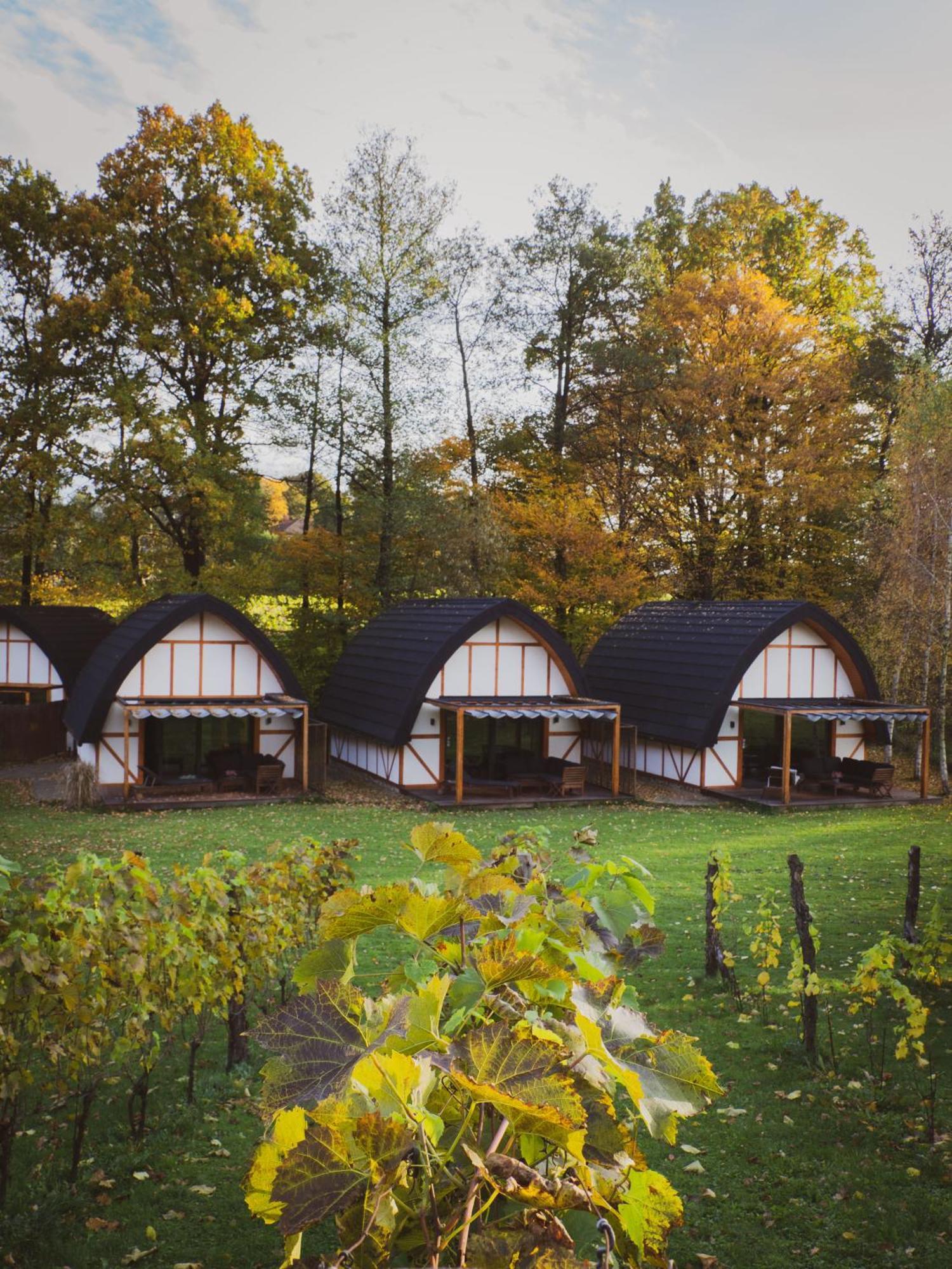 Sen I Wino, Domki Na Winnicy Ze Strefa Spa Żywiec Exterior foto